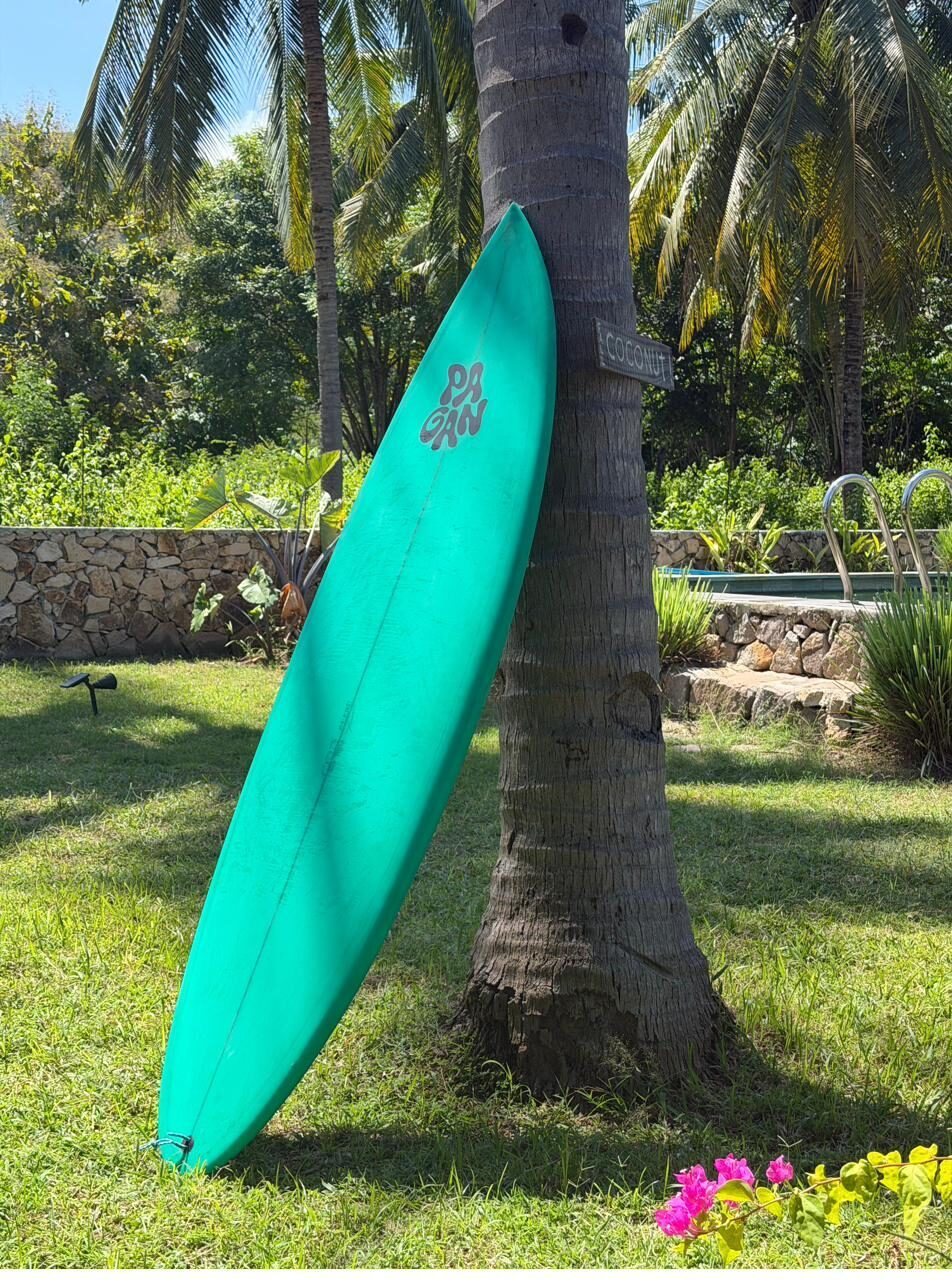 Teal Pagan board against a palm